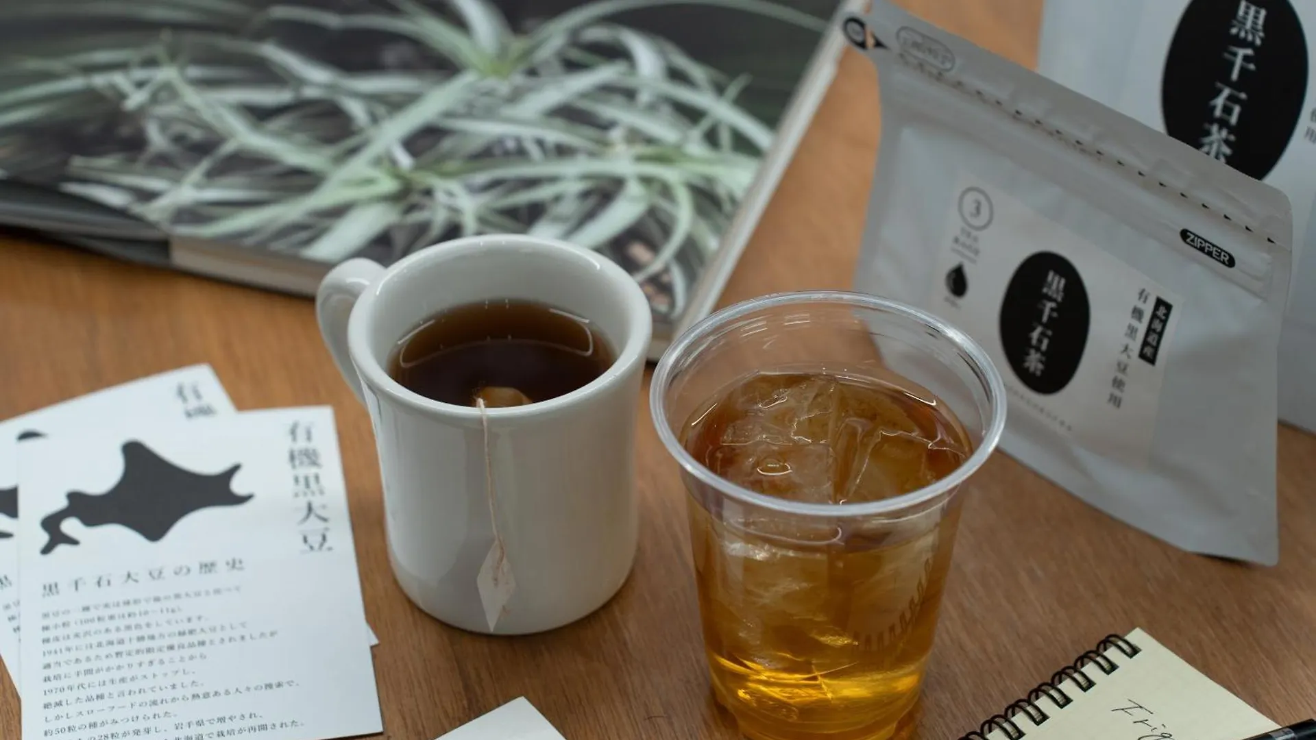 Helio Hostel 삿포로 시 일본